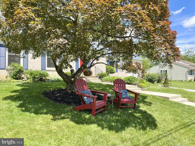 113 Sypherd Dr, Newark, DE 19711 - view of green lawn