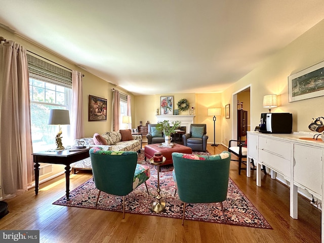 113 Sypherd Dr, Newark, DE 19711 - living room with wood finished floors and a fireplace