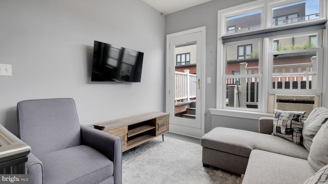 1323 Clifton St NW Unit 34, Washington, DC 20009 - living room with cooling unit