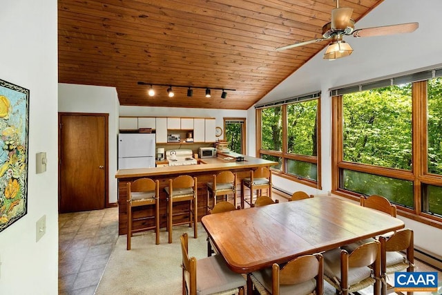 98 Pedlars Pt, Roseland, VA 22967 - dining space featuring wooden ceiling, lofted ceiling, rail lighting, ceiling fan, and a baseboard heating unit
