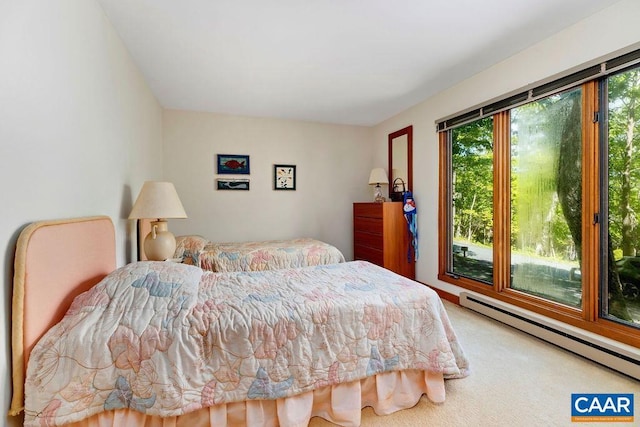 98 Pedlars Pt, Roseland, VA 22967 - carpeted bedroom with a baseboard heating unit