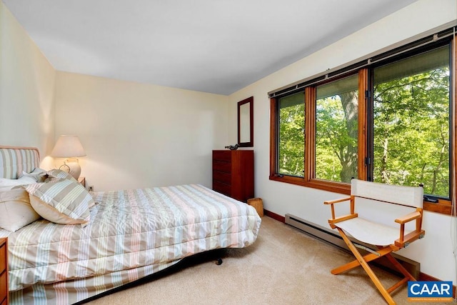 98 Pedlars Pt, Roseland, VA 22967 - bedroom featuring carpet and baseboards