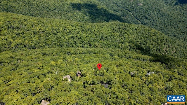 98 Pedlars Pt, Roseland, VA 22967 - view of property location with a forest