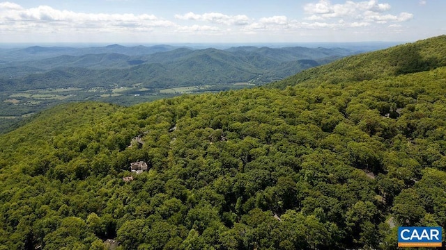 98 Pedlars Pt, Roseland, VA 22967 - aerial view of a forest and a mountain backdrop