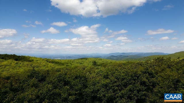 98 Pedlars Pt, Roseland, VA 22967 - view of mountain backdrop with a heavily wooded area