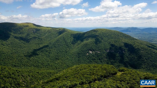 98 Pedlars Pt, Roseland, VA 22967 - view of mountain background featuring a heavily wooded area