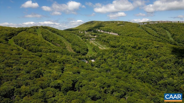 98 Pedlars Pt, Roseland, VA 22967 - drone / aerial view of a forest