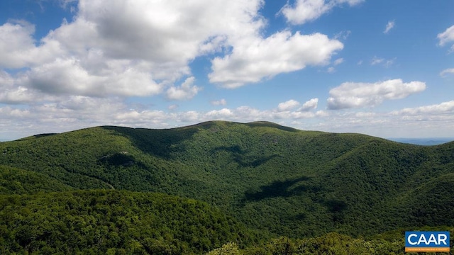 98 Pedlars Pt, Roseland, VA 22967 - mountain view with a forest