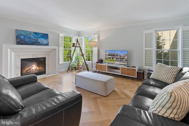 128 N Jay St, Middleburg, VA 20117 - living room featuring crown molding and a high end fireplace