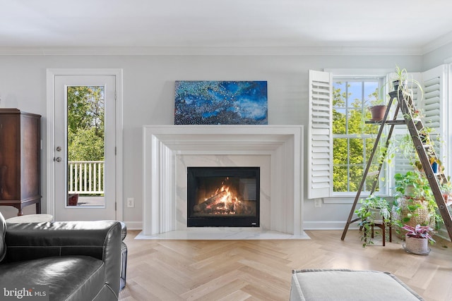 128 N Jay St, Middleburg, VA 20117 - living area with a fireplace, baseboards, and crown molding