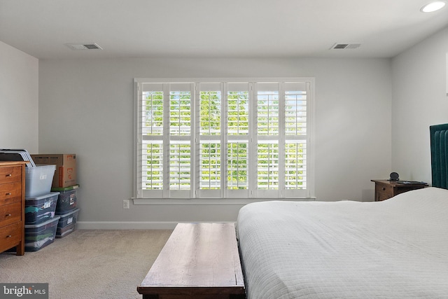 128 N Jay St, Middleburg, VA 20117 - carpeted bedroom with baseboards and recessed lighting