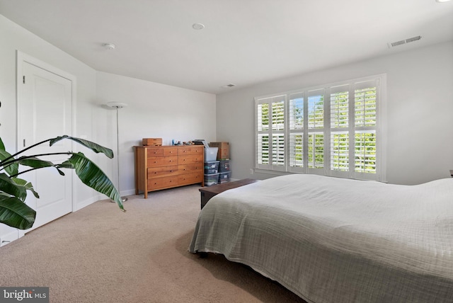 128 N Jay St, Middleburg, VA 20117 - bedroom with carpet and baseboards