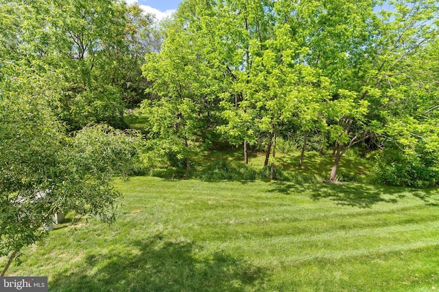 128 N Jay St, Middleburg, VA 20117 - view of green lawn