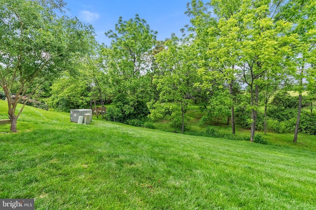 128 N Jay St, Middleburg, VA 20117 - view of green lawn