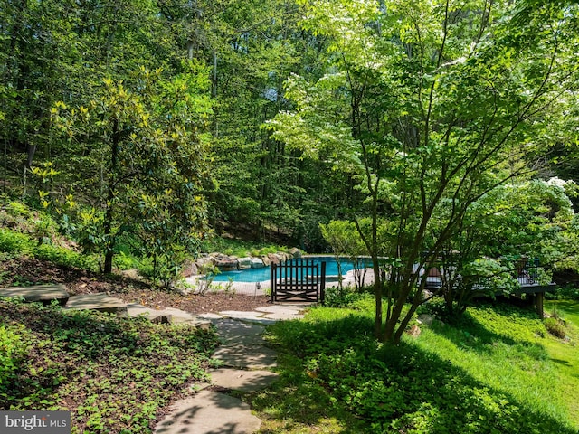 2762 Horseshoe Trl, Chester Springs, PA 19425 - view of yard with an outdoor pool and a view of trees