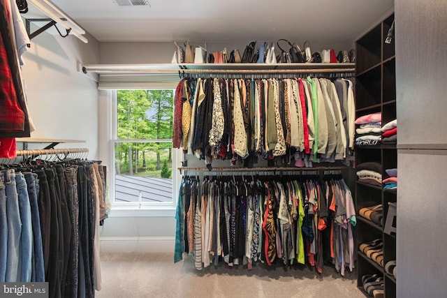 10108 Rockinghorse Ln, Spotsylvania, VA 22553 - walk in closet featuring carpet