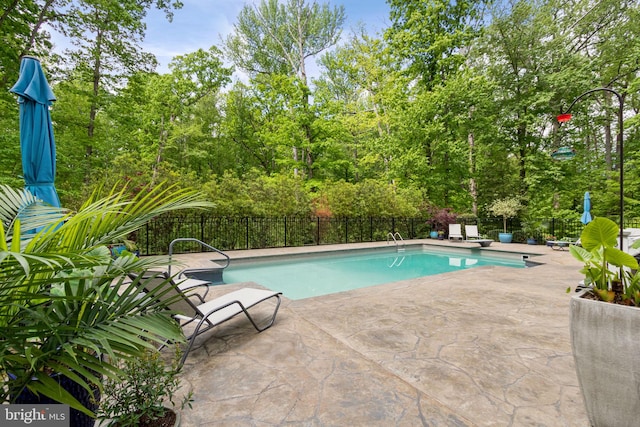 10108 Rockinghorse Ln, Spotsylvania, VA 22553 - view of pool with a patio