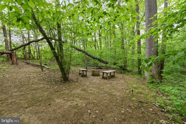 10108 Rockinghorse Ln, Spotsylvania, VA 22553 - view of yard featuring a wooded view