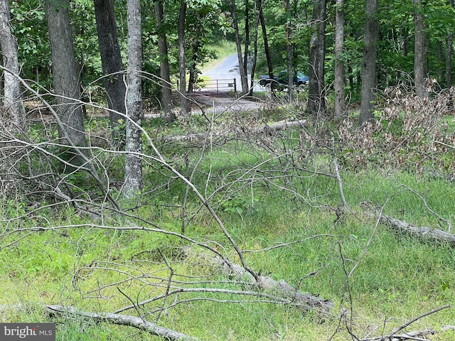 1037 Raven Rocks Rd, Springfield, WV 26763 - view of nature