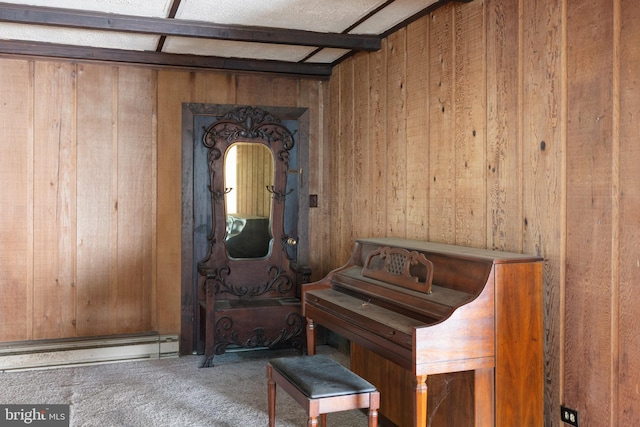 52 Golden Maple Ln, Maurertown, VA 22644 - entryway featuring wood walls, carpet flooring, and a baseboard radiator