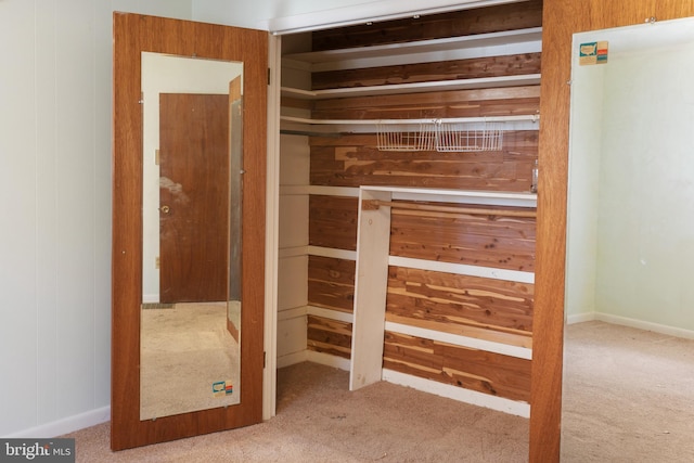 52 Golden Maple Ln, Maurertown, VA 22644 - view of closet