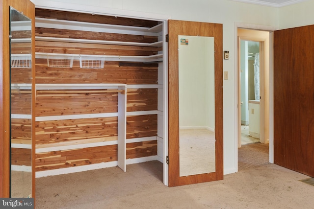 52 Golden Maple Ln, Maurertown, VA 22644 - view of closet