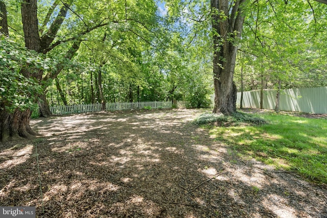 52 Golden Maple Ln, Maurertown, VA 22644 - view of fenced backyard