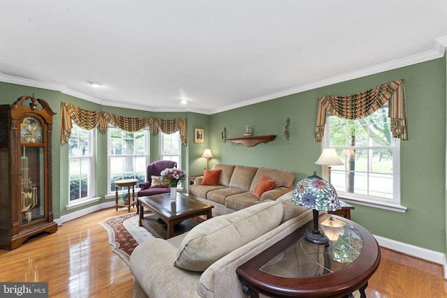 201 Forge Rd, Collegeville, PA 19426 - living area with crown molding and light wood finished floors