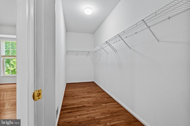 1903 Scottish Isle Ct, Abingdon, MD 21009 - spacious closet featuring wood finished floors