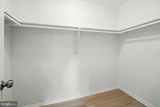 218 Locust St SE Unit 151, Vienna, VA 22180 - walk in closet with wood finished floors