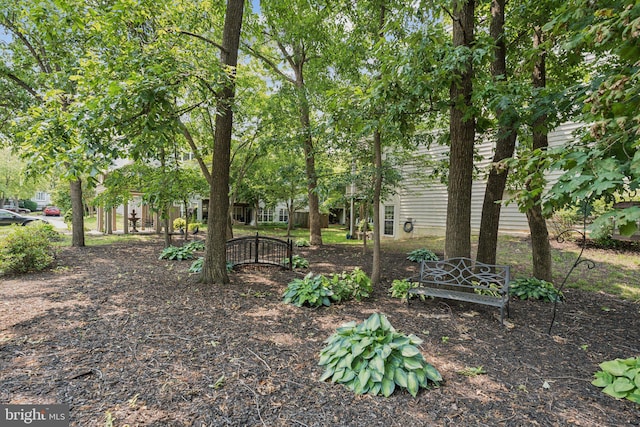 11193 Rienzi Pl Unit 203, Manassas, VA 20109 - view of yard