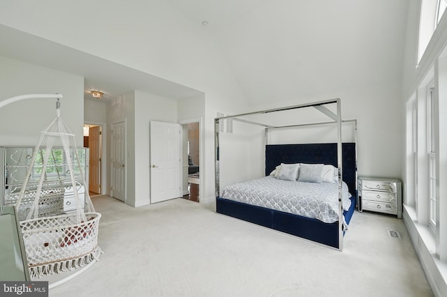 19885 Naples Lakes Ter, Ashburn, VA 20147 - bedroom with carpet flooring and a high ceiling
