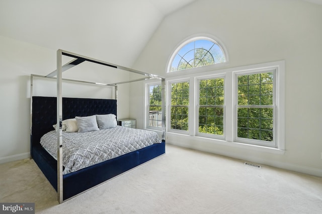 19885 Naples Lakes Ter, Ashburn, VA 20147 - carpeted bedroom with lofted ceiling and baseboards