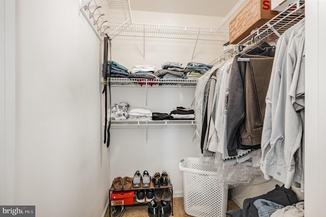 4784 Wermuth Way, Woodbridge, VA 22192 - view of walk in closet