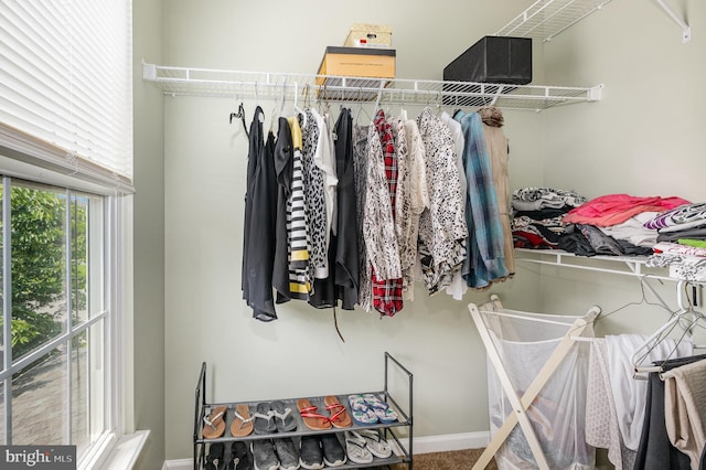4784 Wermuth Way, Woodbridge, VA 22192 - view of spacious closet
