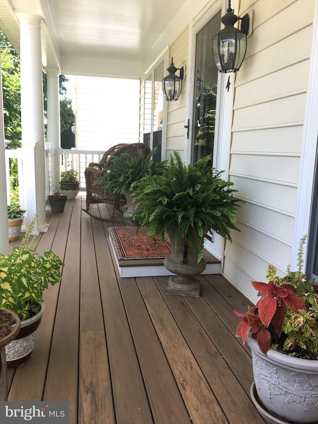 4784 Wermuth Way, Woodbridge, VA 22192 - view of porch
