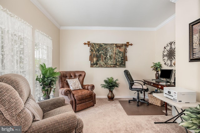 4784 Wermuth Way, Woodbridge, VA 22192 - office with crown molding, carpet, and baseboards
