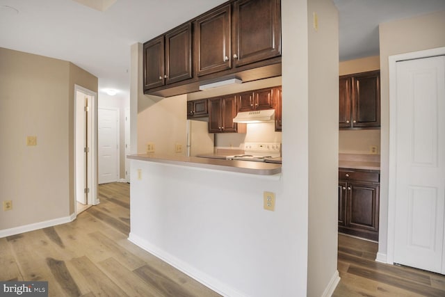 4100 Monument Ct Unit 302, Fairfax, VA 22033 - kitchen with under cabinet range hood, light wood-style floors, white appliances, dark brown cabinetry, and light countertops