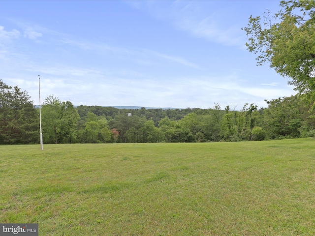 193 Chevy Ln, Berkeley Springs, WV 25411 - view of grassy yard featuring a wooded view