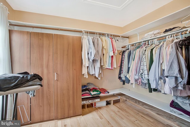 927 Brick Manor Cir, Silver Spring, MD 20905 - spacious closet with wood finished floors