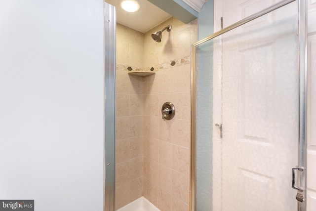 183 Jamestown Rd Unit 10, Ocean City, MD 21842 - full bath with a stall shower