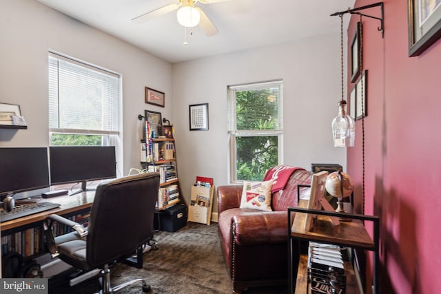 2326 E Boston St, Philadelphia, PA 19125 - office space with dark carpet, healthy amount of natural light, and ceiling fan