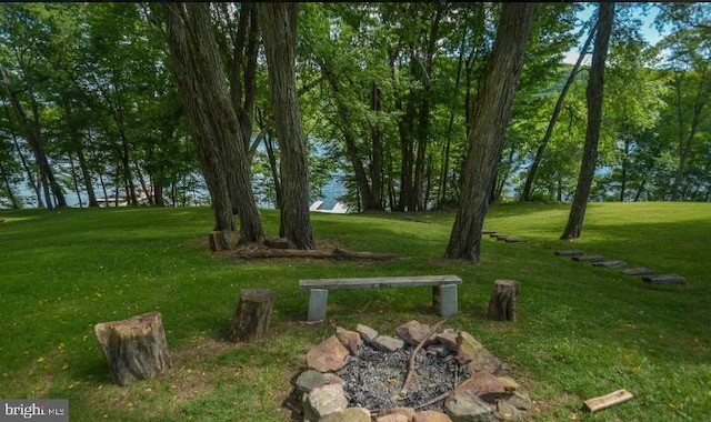 1417 Marsh Hill Rd, Mc Henry, MD 21541 - view of grassy yard
