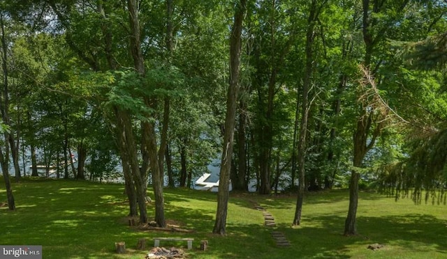 1417 Marsh Hill Rd, Mc Henry, MD 21541 - view of grassy yard