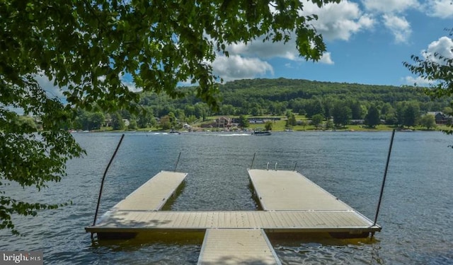 1417 Marsh Hill Rd, Mc Henry, MD 21541 - dock with a water view and a wooded view