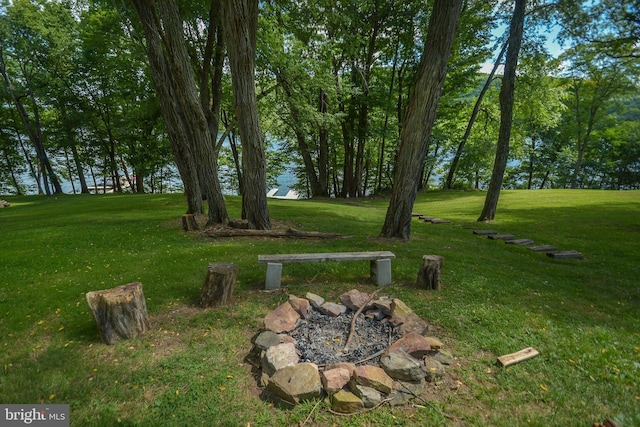 1417 Marsh Hill Rd, Mc Henry, MD 21541 - view of grassy yard