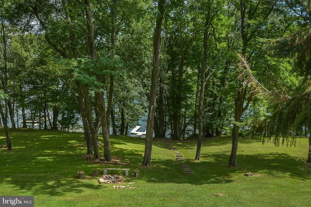 1417 Marsh Hill Rd, Mc Henry, MD 21541 - view of grassy yard