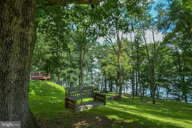 1417 Marsh Hill Rd, Mc Henry, MD 21541 - view of home's community with a deck and a lawn