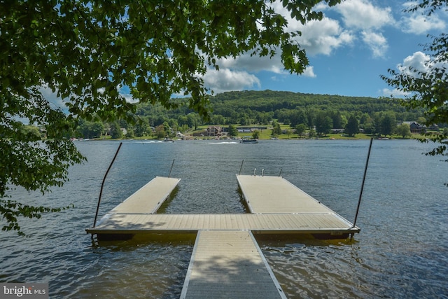 1417 Marsh Hill Rd, Mc Henry, MD 21541 - dock area featuring a water view and a forest view