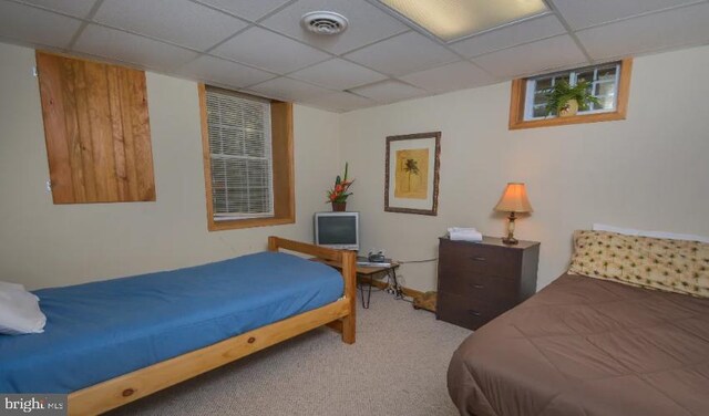 1417 Marsh Hill Rd, Mc Henry, MD 21541 - bedroom with a drop ceiling and light carpet